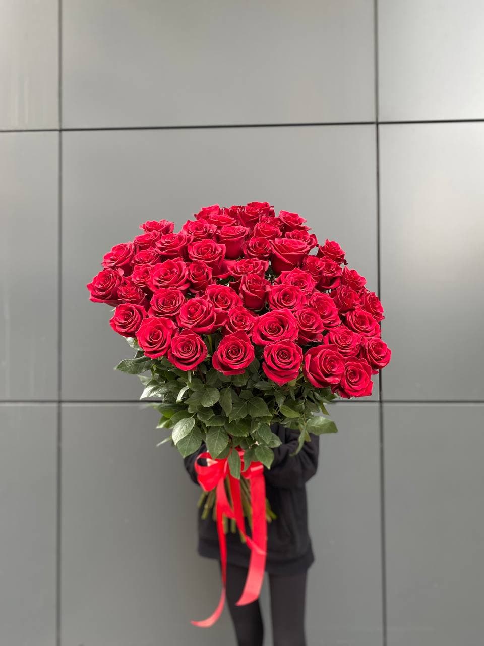 51 метровых роз